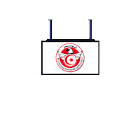 World Cup Football Sticker by Pudgy Penguins