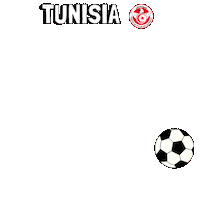 World Cup Football Sticker by Pudgy Penguins