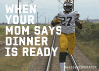 green bay packers nfl GIF