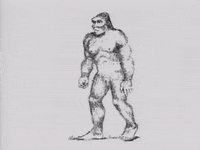 Unsolved Mysteries Bigfoot GIF by FILMRISE