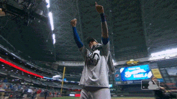 crowd pumps GIF by MLB