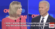 Joe Biden Dnc Debates 2019 GIF by GIPHY News