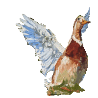 browndogfarmstudio art animals fly duck Sticker