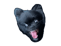 Wilmade dog halloween angry black Sticker