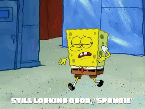 season 5 episode 13 GIF by SpongeBob SquarePants