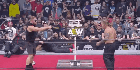 Chris Jericho Aew On Tnt GIF by All Elite Wrestling on TNT