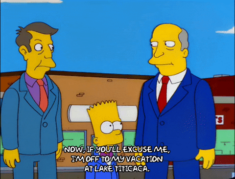 bart simpson episode 20 GIF