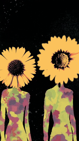 Canvas Fool GIF by Elton Audio Records