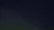 Yaz Ladies Lacrosse GIF
