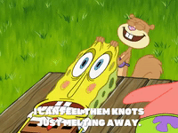 season 8 episode 20 GIF by SpongeBob SquarePants
