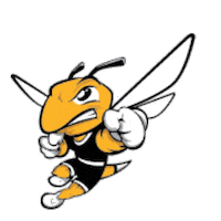 aiconcampus aic yellow jackets american international college aic yellow jackets Sticker