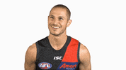 essendonfc dons bombers essendon essendon fc GIF