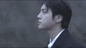 Jin Kim Seokjin GIF by BTS