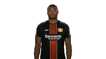 bayer leverkusen yes Sticker by Bundesliga