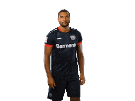 Bayer 04 Werkself Sticker by Bayer 04 Leverkusen