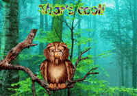 Owls Expressions GIF
