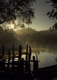 landscape river GIF by Head Like an Orange