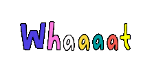 Wt What Sticker