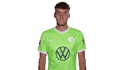 Champions League No Sticker by VfL Wolfsburg