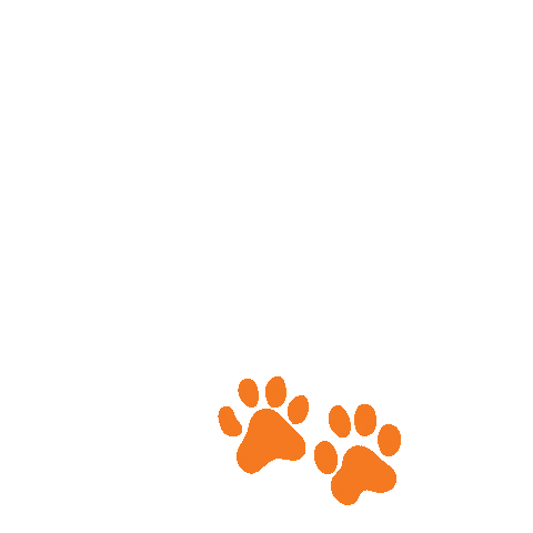 pacificgraduateschool giphyupload powercat uopacific uopgrad Sticker