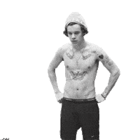 harry styles STICKER