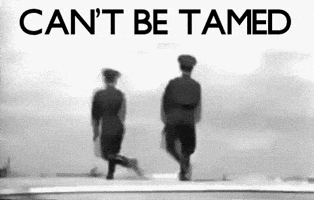 Soviet Union Dancing GIF