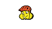 Kid Bike Hamster Sticker by thehammies