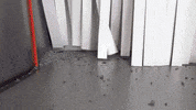 Recycle Shred GIF by Enable 3D