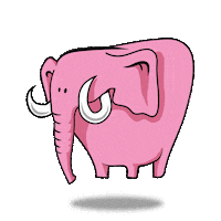 CreativeDreamsMx creative dreams dreamer pinkelephant Sticker