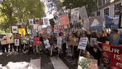 protest climate change global climate strike climate protest GIF