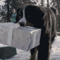 Winter Kids GIF by ZDF