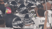 National Football League GIF by NFL