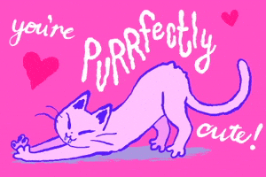 You're Puurrfectly Cute