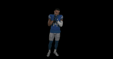 St Brown Football GIF by Detroit Lions
