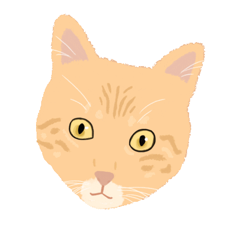 Confused Cat Sticker