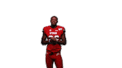 Utah Utes Sticker by Utah Football