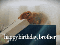Happy Birthday GIF by Sealed With A GIF