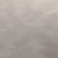 GIF by Democratic National Convention