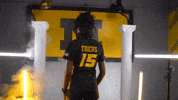 Tigers Missouri GIF by Mizzou Athletics