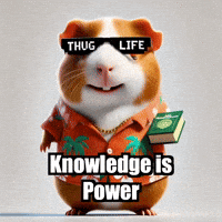 Wisdom Knowledge GIF by Guinea Gambino