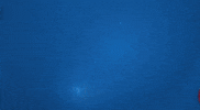 Zfx GIF by SenadoRD