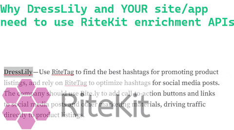 Automate Software Engineer GIF by RiteKit