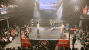Wrestling Nacional GIF by CNL Chile
