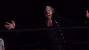 matt hardy wrestling GIF by WWE