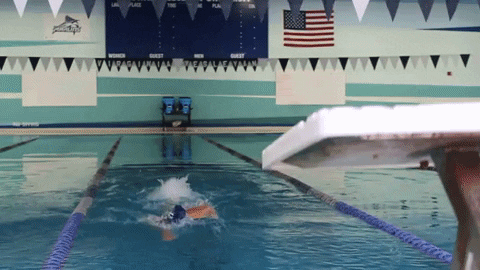 Wethebeach Virginiawesleyan GIF by VWU Marlins