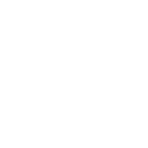 Meesvandenbrink white orange flow pressure Sticker