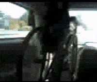 Happy Dance GIF