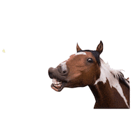 Horse Smile Sticker by Nubika Formacion
