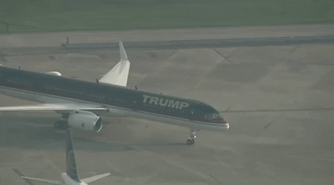 Donald Trump Arrest GIF by GIPHY News