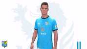 Football Sport GIF by ChemnitzerFC